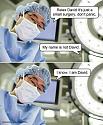 Amusing Pictures ripped from the Net-550418-jpg