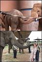 Amusing Pictures ripped from the Net-1563774610164-jpg