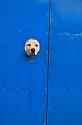 Amusing Pictures ripped from the Net-dog3-jpg
