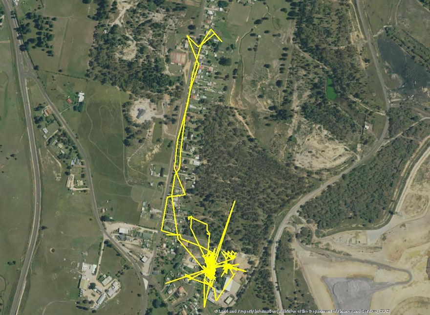 Daily Moan-gps-tracker-cat-movement-map-lithgow