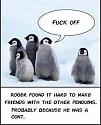 Amazing picture thread-119c80ad38cd84baa0313a68f0d46a8f-baby-penguins-funny-penguin-jpg
