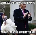 Amusing Pictures ripped from the Net-liberals-turkey-jpg