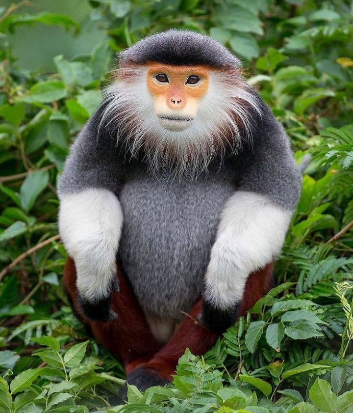 Amazing picture thread-20201121_165216-jpg