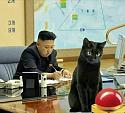 Amusing Pictures ripped from the Net-n-korea-kat-jpg