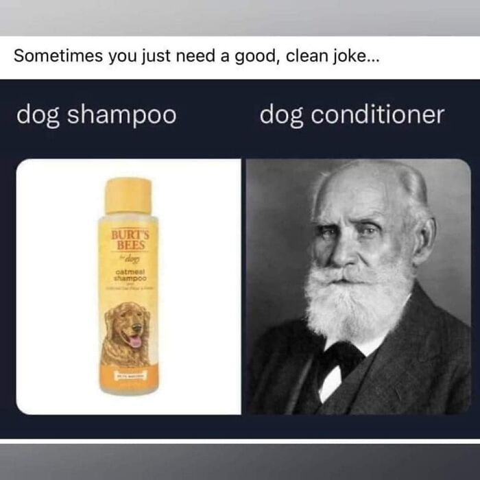 Amusing Pictures ripped from the Net-science-humor-memes-jokes-81-6245a3ab6e8b4__700-a