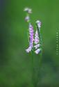 Summer time-506206393_9998754566846408_2027392880706297975_n-jpg