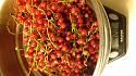 What are these berries-20180715_215502-jpg