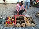 Any rare chickens breed sellers in Essan ?-thai-2015-051-jpg