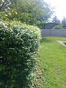 What's in your garden?-20180918_092407-jpg