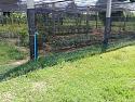 What's in your garden?-20180926_135543-jpg