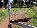 What's in your garden?-20180926_135456-jpg