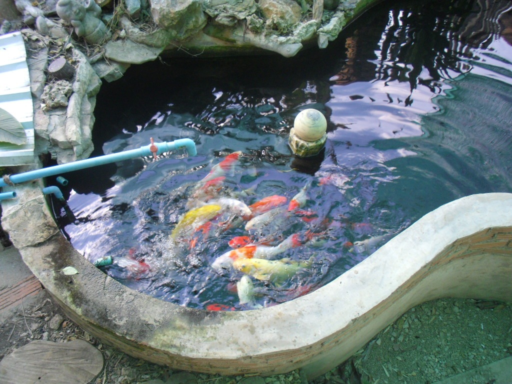 Building a small koi pond waterfall.-2017011003-jpg