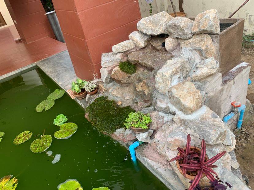 Building a small koi pond waterfall.-moss-jpg