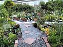 What's in your garden?-gardy-jpg
