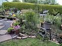 What's in your garden?-gardy2-jpg