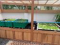 What's in your garden?-aquaponicgarden-jpg
