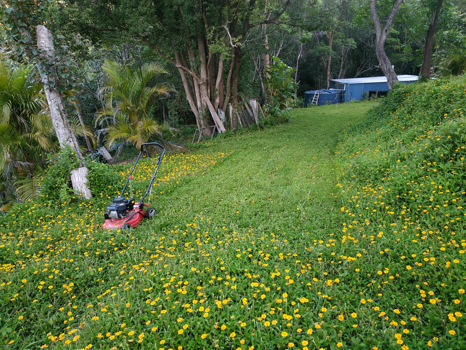 What's in your garden?-img_20211215_201700-jpg
