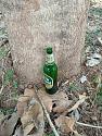 What's in your garden?-1640396159704-jpg