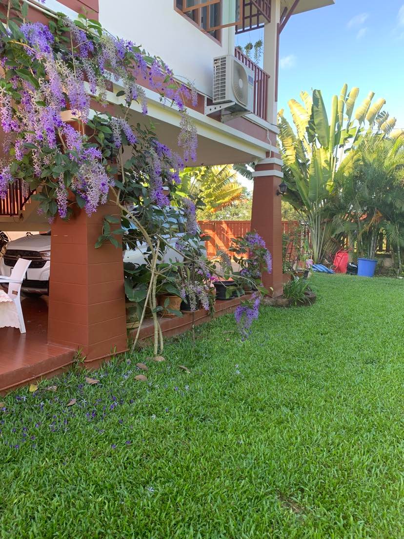 What's in your garden?-purple-flowers-jpg