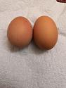 The Blokes' Cookery Thread-img_20190806_27295-jpg