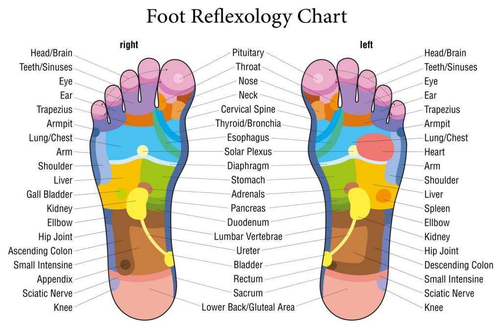 Pinched Nerve in me right Hoof.-foot-reflexology-chart-jpg