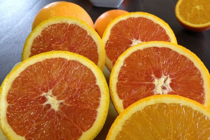 Oranges improve eye health, research finds-4743874-3x2-700x467-jpg