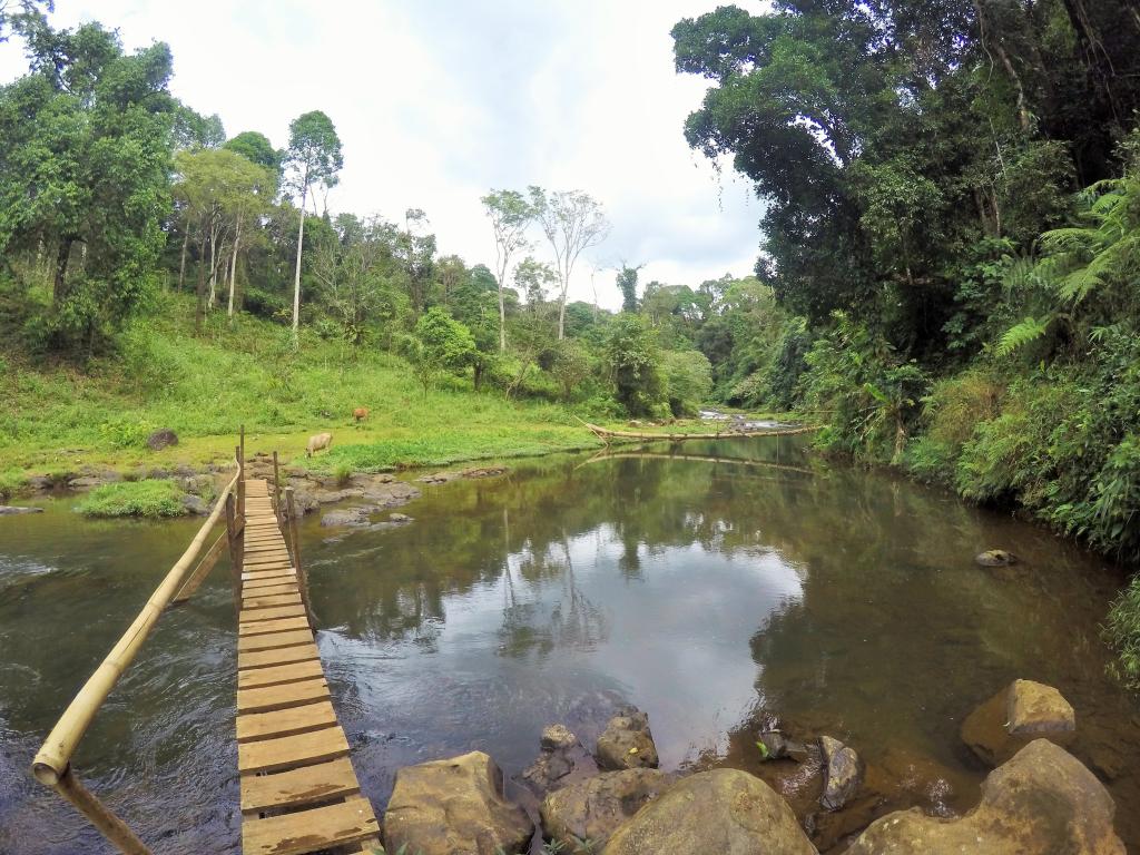 Bungling in the Jungle, Laos, 2018.-143-2-jpg