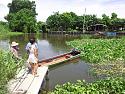 Thailand:- Life on the Farm is kind of relaxed-20130916_131946-1-large-jpg