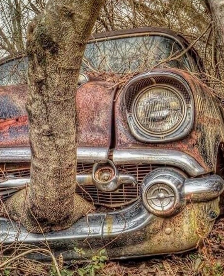 Abandoned cars picture thread-20201112_212023-jpg