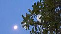 &quot;Yes dear, there are two moons&quot;-20180920_182106-jpg
