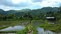 Hiking in the Phils-p_20181007_103214_ricefield-jpg