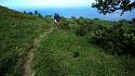 Hiking in the Phils-p_20180216_090047_cowsht-jpg