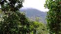 Hiking in the Phils-03_viewofmt-jpg