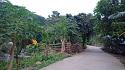 Hiking in the Phils-02_road-jpg