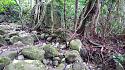 Hiking in the Phils-10_dry_stream2-jpg