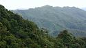 Hiking in the Phils-26_view_forest-jpg