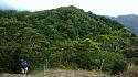 Hiking in the Phils-29_view_trees-jpg