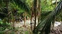 Hiking in the Phils-49_downstream-jpg