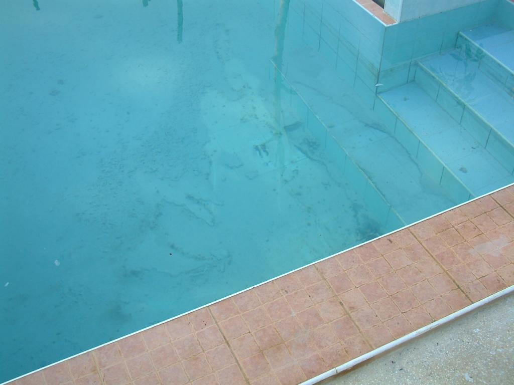 Getting rid of algae in your swimming pool-06011403-jpg