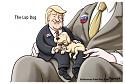 Political cartoons - the 'funny' pics thread.-bennec20180719_low-jpg