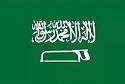 Political cartoons - the 'funny' pics thread.-saudiflagold-jpg