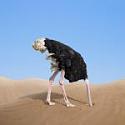 Any doubts about Climate Change?-s3b0w-jpg