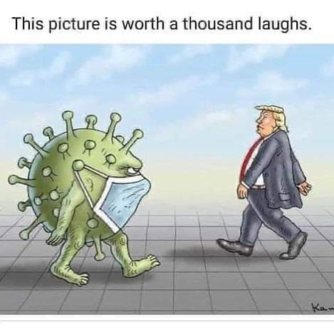 Political cartoons - the 'funny' pics thread.-whatsapp-image-2020-04-27-15-a