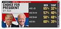 2020 US Presidential Race-poll-1-jpg