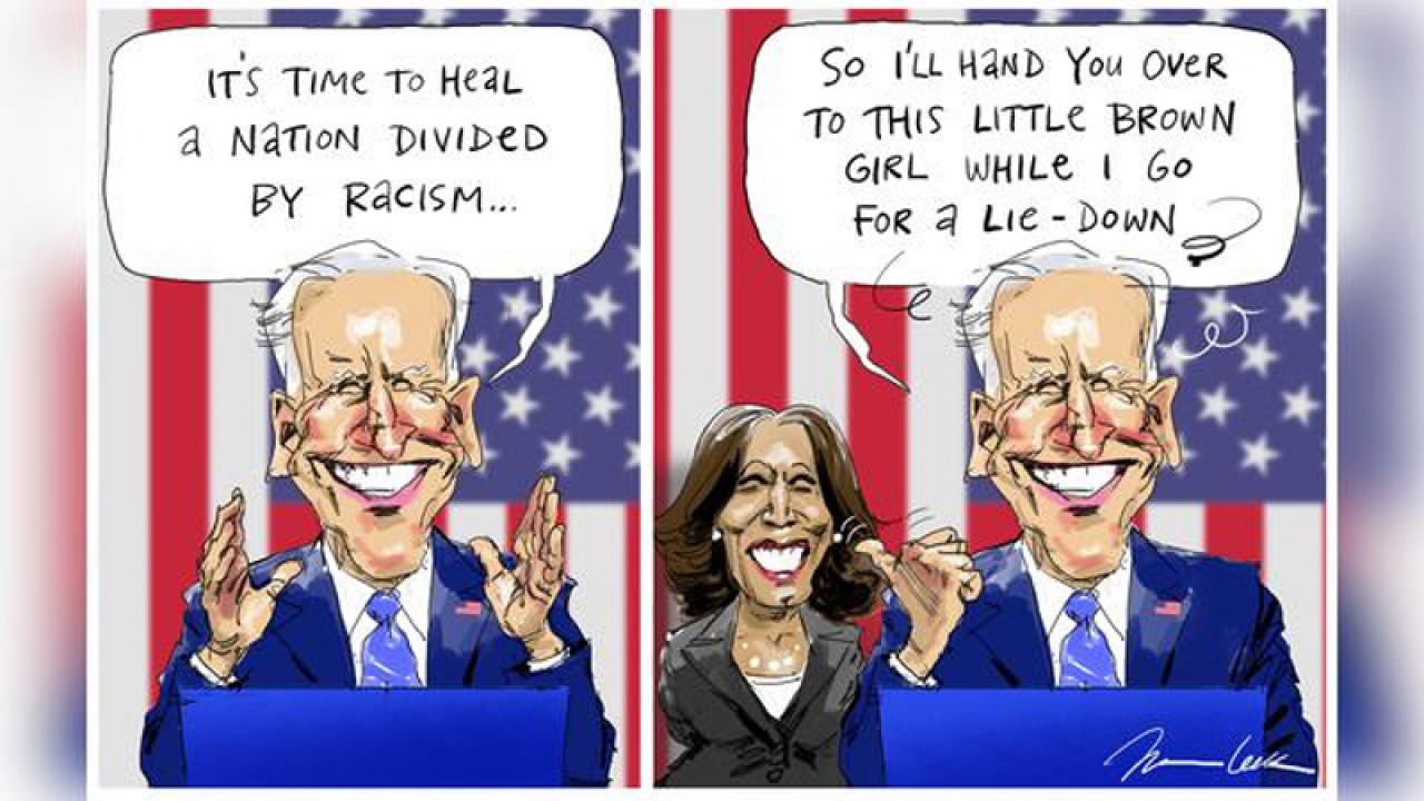 2020 US Presidential Race-little-brown-girl-australian-biden-harris