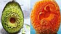Thailand's Meticulous Fruit Carving Tradition-insta784x441-1-jpg