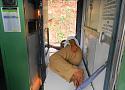 Photo Essay - A train passenger's view of India-dscn1621-medium-jpg