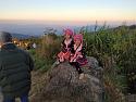 Christmas Road Trip Chiang Rai Province-img_20191224_070218-jpg