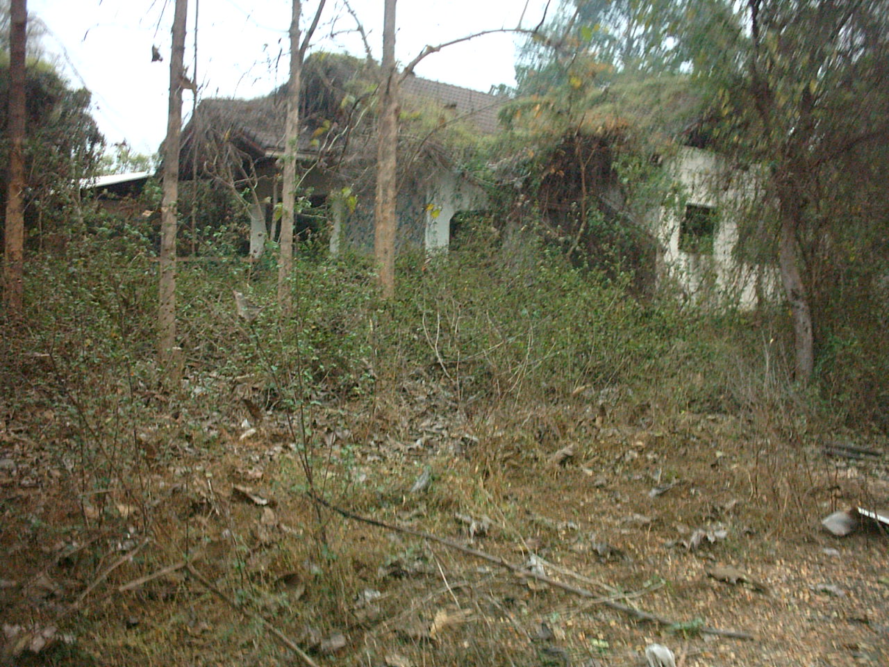 Exploring an abandoned mansion in Chiang Mai-05020224-jpg
