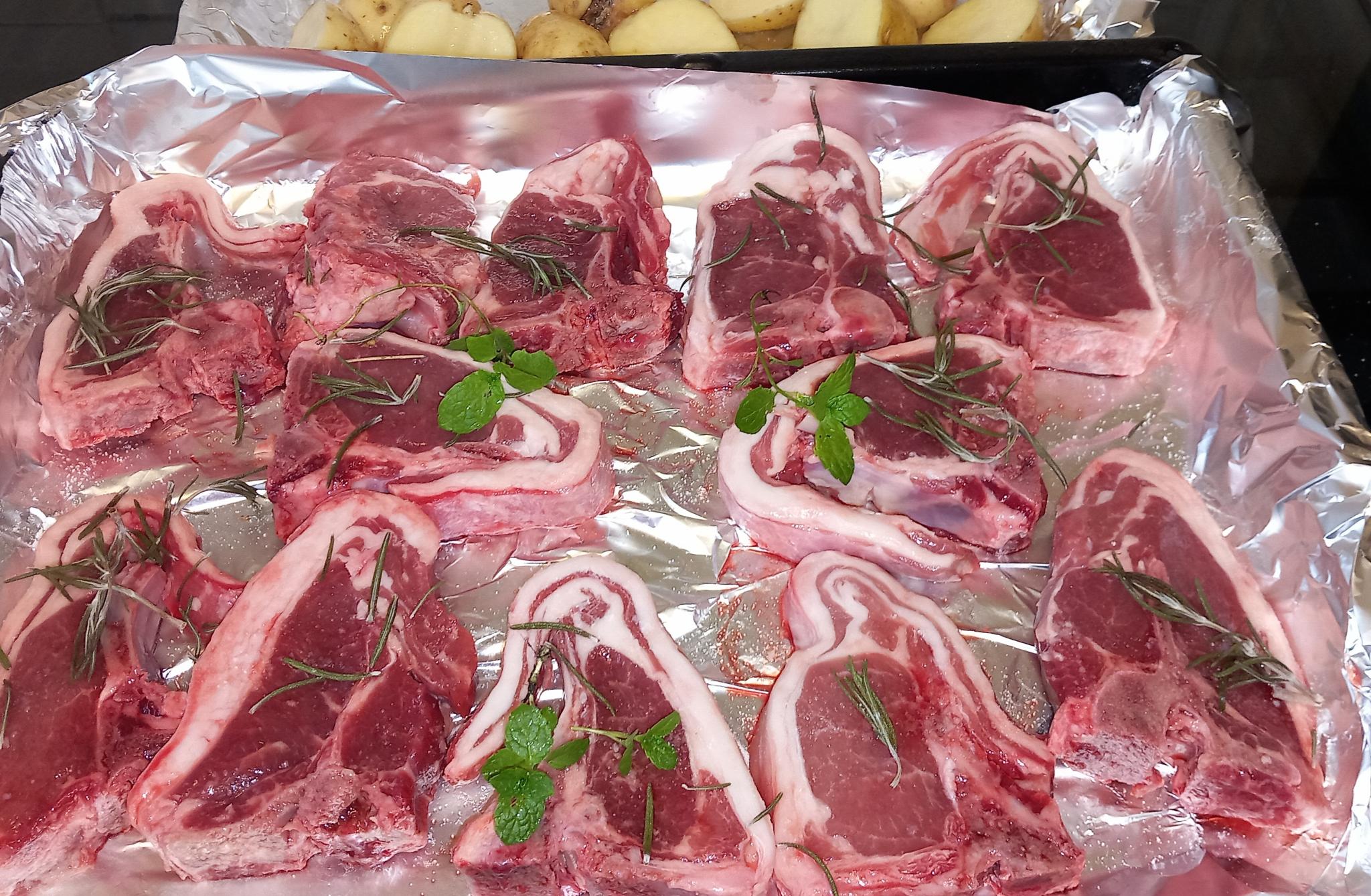 Dinner-20231001_141755-jpg
